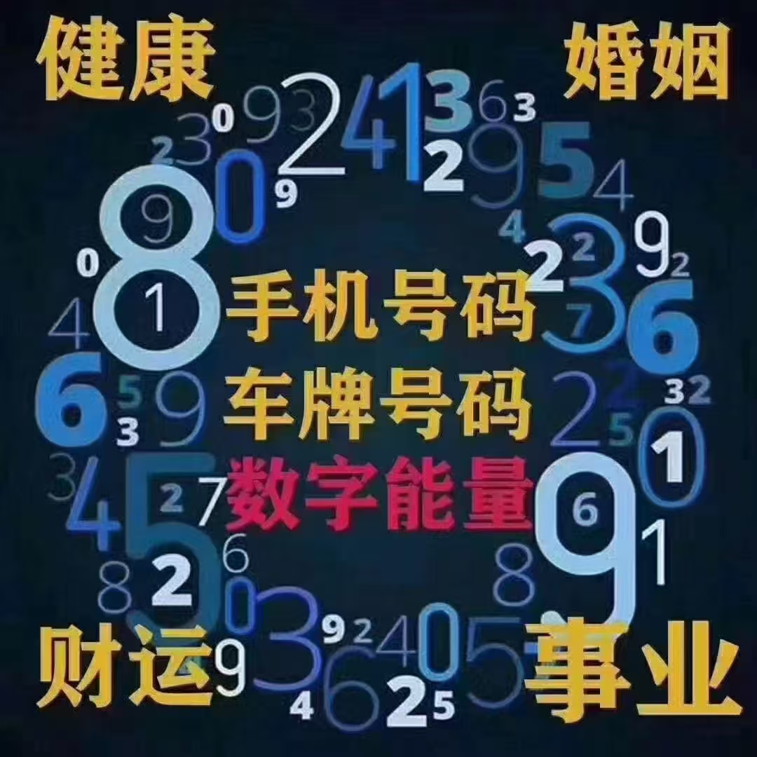 1111119.jpg