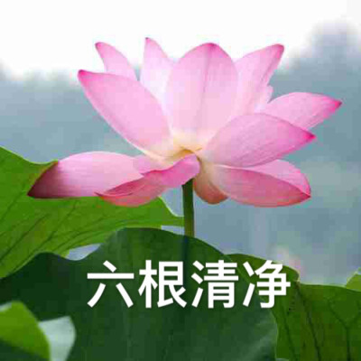 70f16cce53bc5f01ed2ceed1314758af.jpeg
