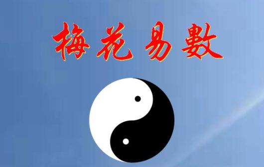 梅花易数测电话号码吉凶